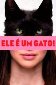 Ele é Um Gato!